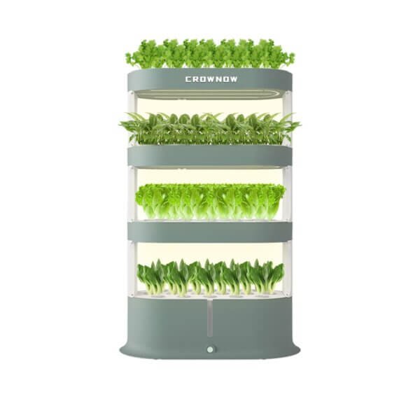 Fun hydroponic plants to grow with kids