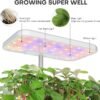 Beginner Friendly Hydroponics