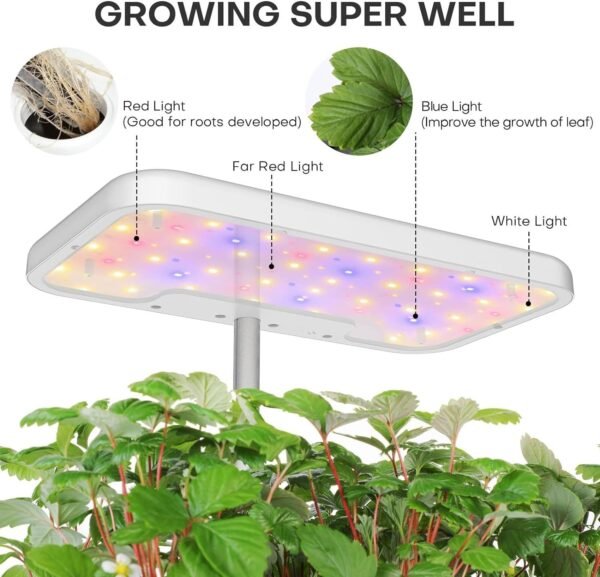 Cost-effective Hydroponics