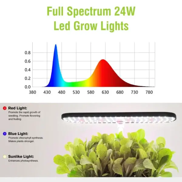 Indoor Hydroponic Garden