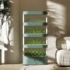 Compound multi-layer hydroponic tower (box)