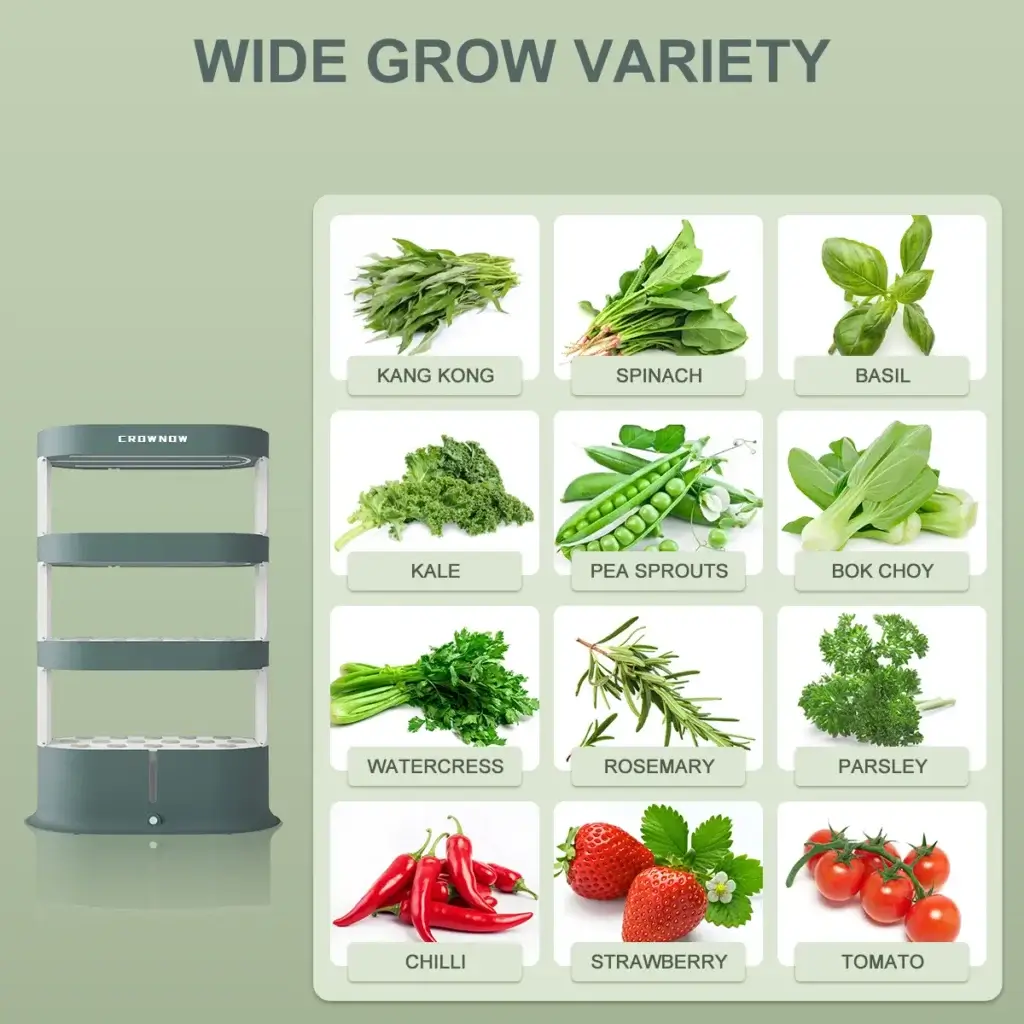Hydroponic Gardening for Beginners