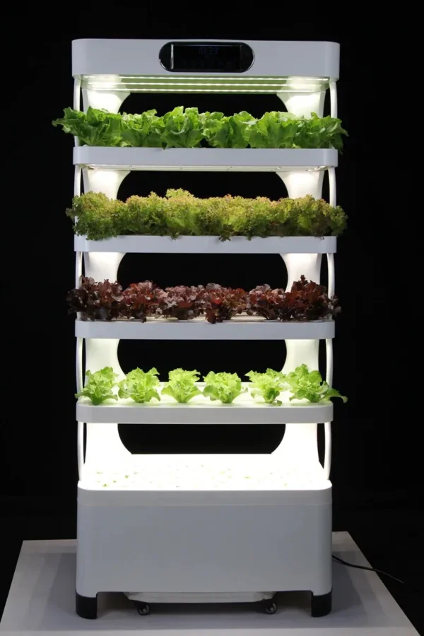 How to create a hydroponic setup at home