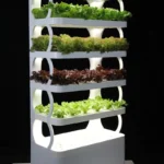 Hydroponic tower kits as birthday gifts