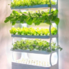 Smart Hydroponic Systems