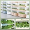 Affordable hydroponic systems for families