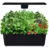 Indoor Plant Growth Systems