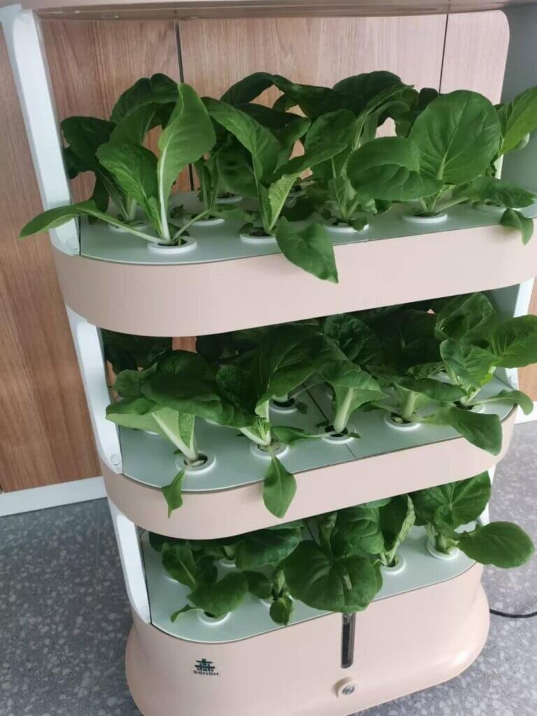 Smart Hydroponics, Easy Planting